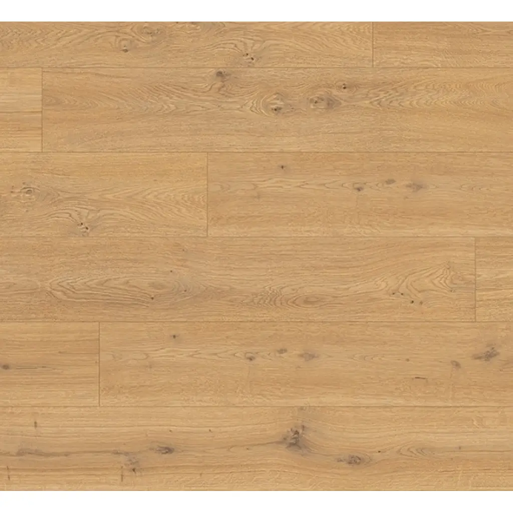 Dąb Predaia miodowy EL1005 AC4 8 mm, 1667174, Panele podłogowe, Aqua+ Clic it Classic, Egger