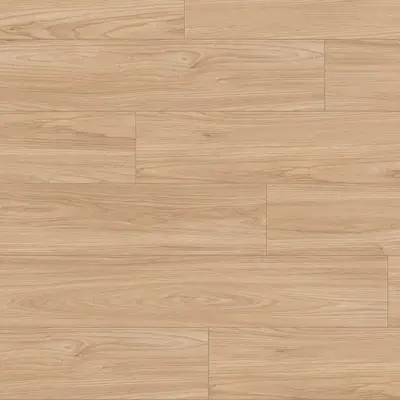 Akacja Sheffield naturalna EL1004 AC4 8 mm, 1667291