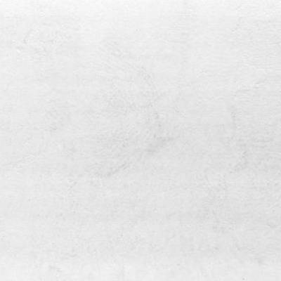 Panele Podłogowe Bianco Puro 1171 AC6 8 mm