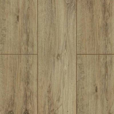 Panele Podłogowe Dąb Monaco MM1003 8 mm