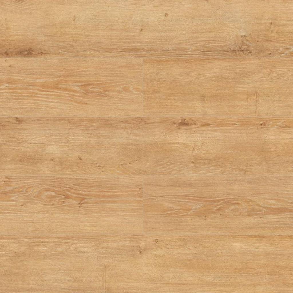 Panele Podłogowe Dąb Habanero D 4523 AC5 8 mm, Panele podłogowe, Gusto, Swiss Krono Aurum
