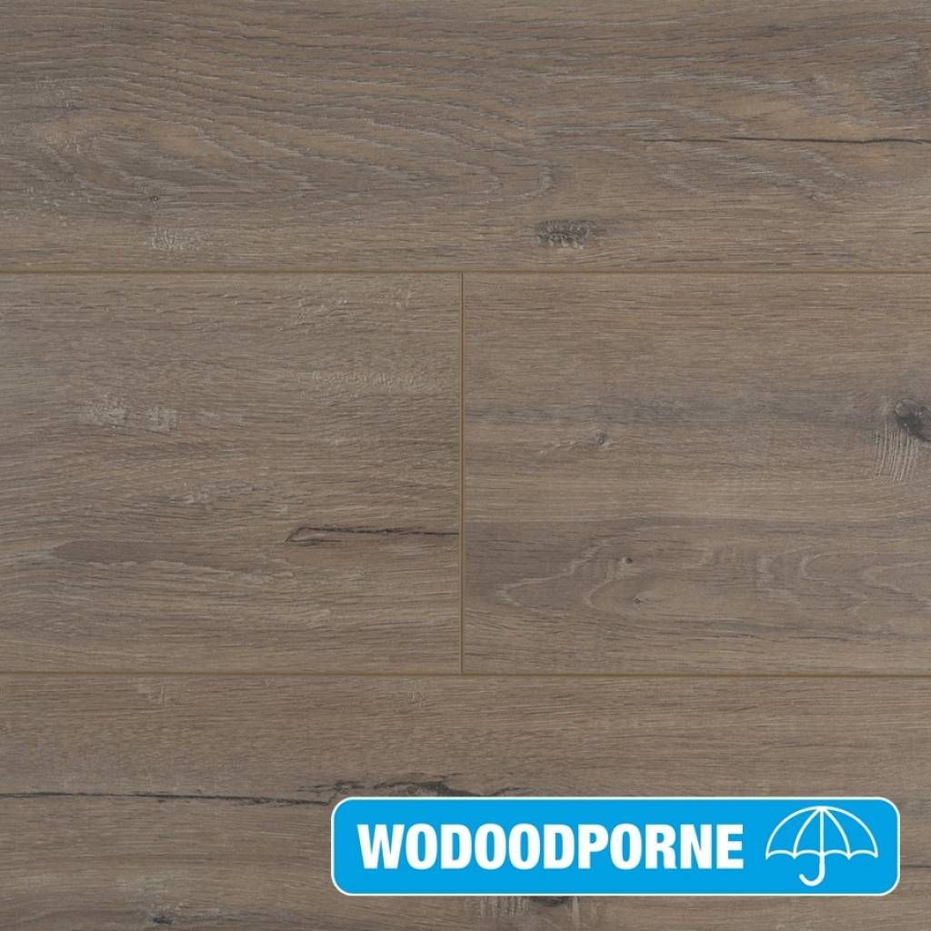 Panele Podłogowe Dąb Trinity 900426 AC5 8 mm, Panele podłogowe, By Belgium Water Protect AC5, Metamorphose