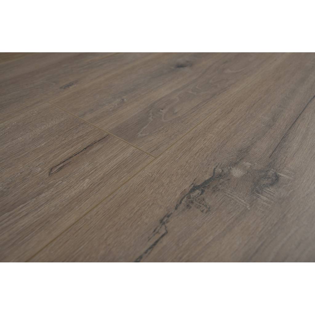 Panele Podłogowe Dąb Trinity 900426 AC5 8 mm, Panele podłogowe, By Belgium Water Protect AC5, Metamorphose