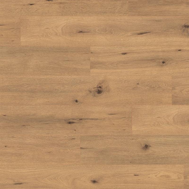 Panele Podłogowe Dąb Dziki Naturalny EPL182 AC5 10 mm