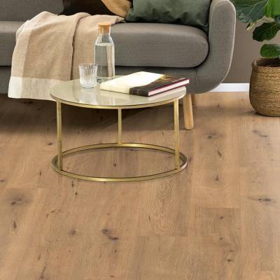 Panele Podłogowe Dąb Dziki Naturalny EPL182 AC5 10 mm