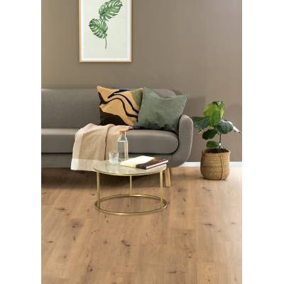 Panele Podłogowe Dąb Dziki Naturalny EPL182 AC5 10 mm