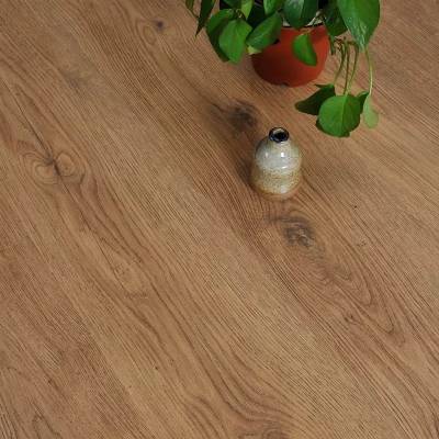 Panele Podłogowe Dąb Grove EPL089 AC4 8 mm