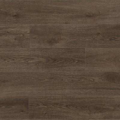 Panele Podłogowe Dąb Eclipse EXPC-Z217V AC4 8 mm