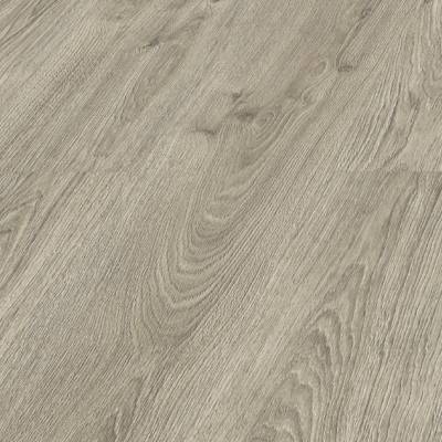 Panele podłogowe Dąb Dove D40034 AC5 8 mm, AUVO40034