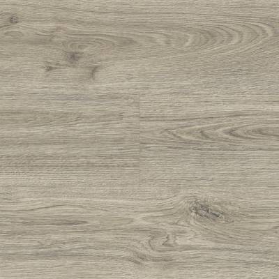 Panele podłogowe Dąb Dove D40034 AC5 8 mm, AUVO40034