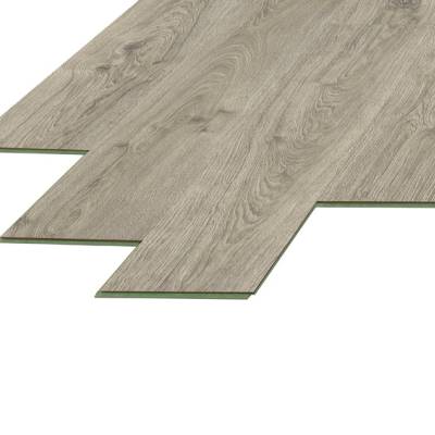 Panele podłogowe Dąb Dove D40034 AC5 8 mm, AUVO40034