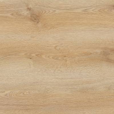 Panele Podłogowe Trend Oak PRK501 AC4 8 mm