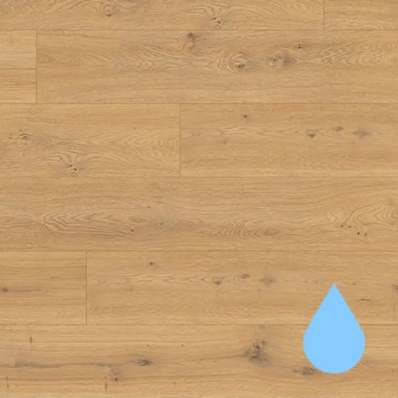 Dąb Predaia miodowy EL1005 AC4 8 mm, 1667174