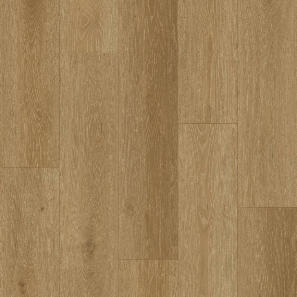 Panele winylowe SPC LVT Scoti Klasa 33 4 mm, PAN000258, Panele winylowe, LVT Forest, Metamorphose