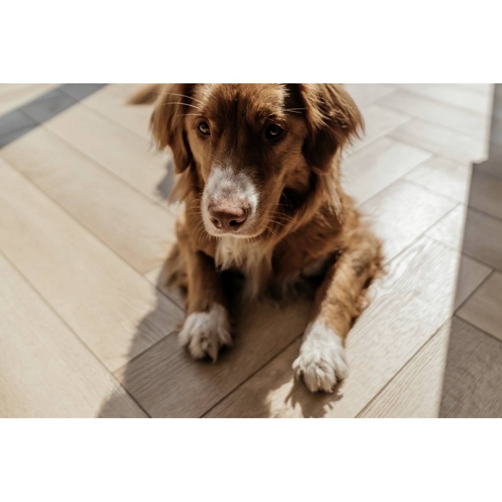 Panele winylowe Jodełka LVT Firenze dryback HB Mistrall Klasa 33 2.5 mm, FIR HB-2631-DB, Podłoga winylowa, Dryback Firenze Herringbone, Lamett ParquetVinyl