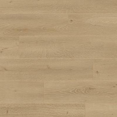 Panele podłogowe Dąb Indus 6445  AC4 8 mm, 400092142
