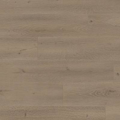 Panele podłogowe Dąb Amazon 6447 AC4 8 mm, 400092143