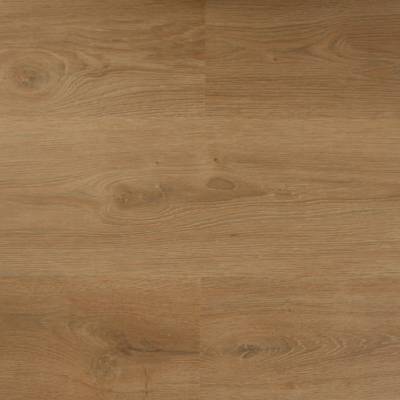 Panele podłogowe Panele Podłogowe Dąb Bella 120039857