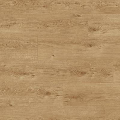 Panele podłogowe Funkia 6021 AC5 8 mm, 6021FUNKIA