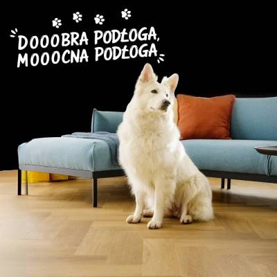 Panele Winylowe SPC LVT Dąb Empire CAS 226 Klasa 33 5 mm, 5905167856468