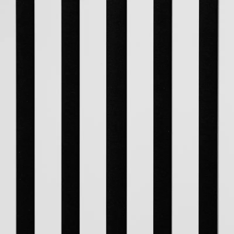 Lamele Akustyczne Czarno-Białe na Filcu L 231, 120044189