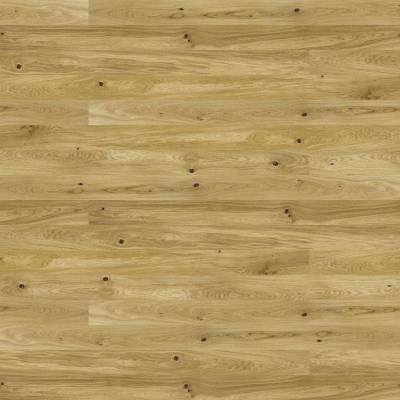 Dąb Conchi Piccolo 1W1000093