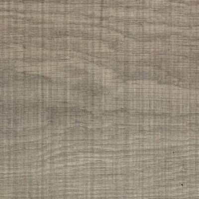 Panele Podłogowe Grey Oak 168 AC4 8 mm
