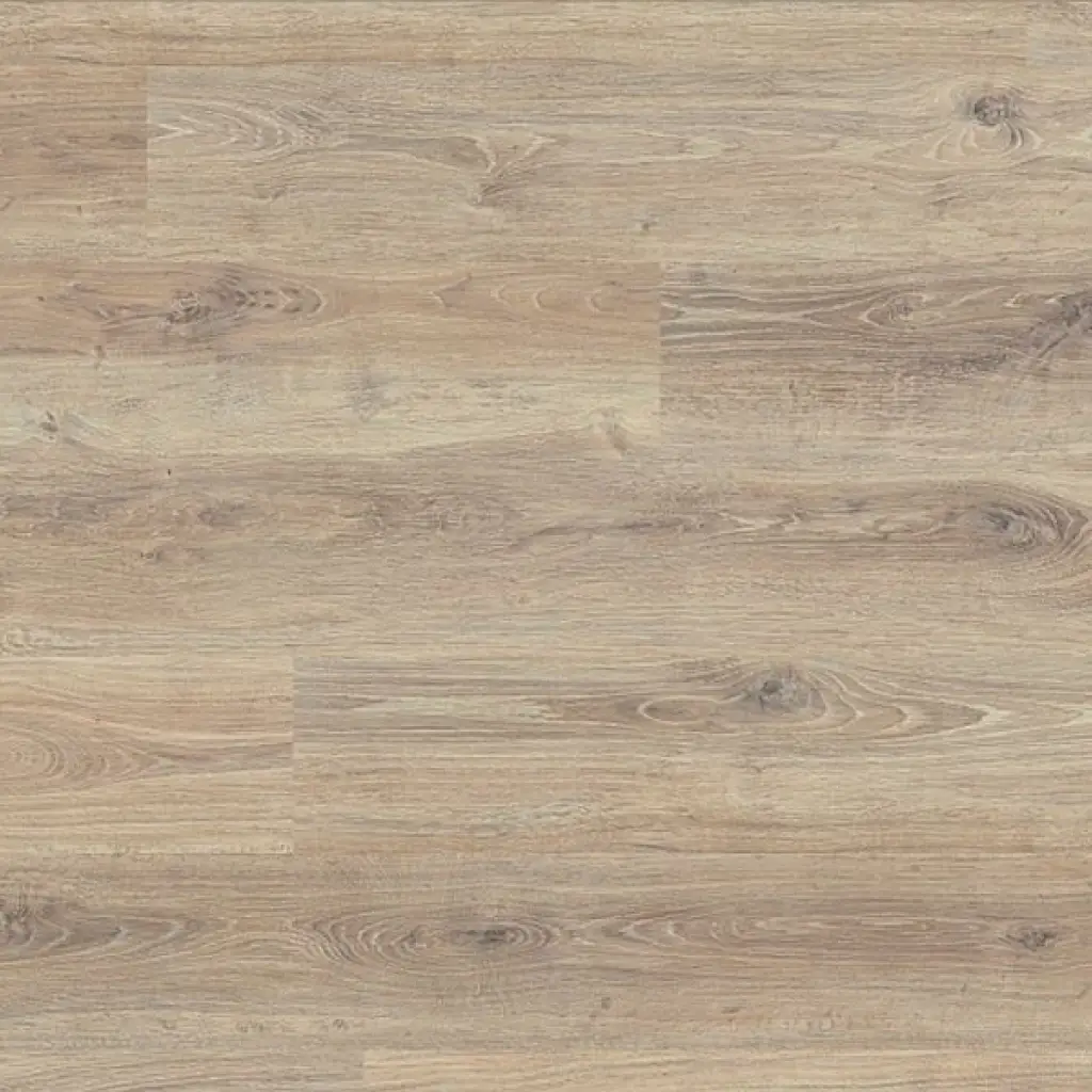 Panele Podłogowe Forest Oak Clay 42323400 AC5 8 mm, Panele podłogowe, Trend&Style, Trend & Design