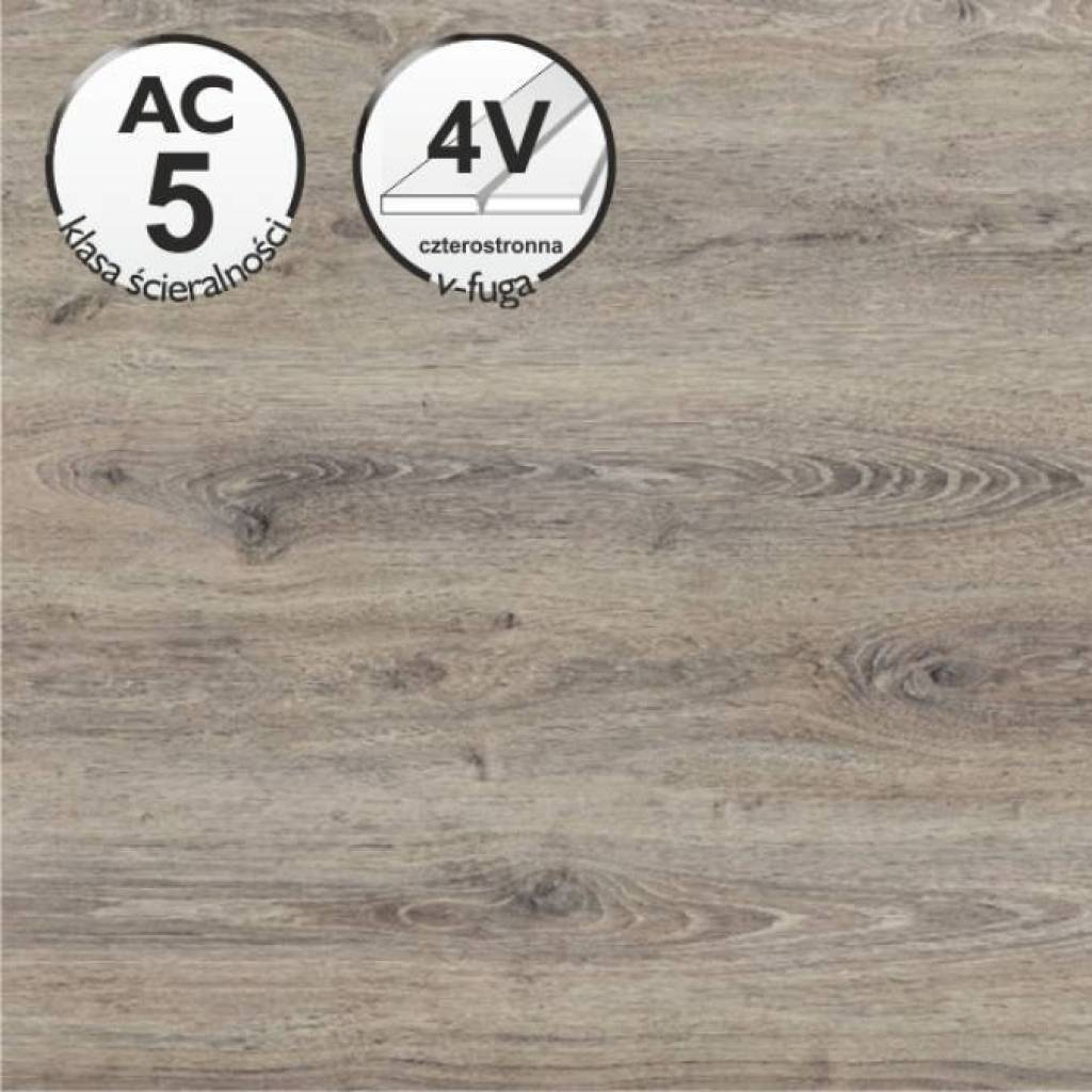 Panele Podłogowe Forest Oak Cloud 42323399 AC5 8 mm, Panele podłogowe, Trend&Style, Trend & Design