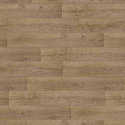 Panele Podłogowe Oak Effect Honey 504015050