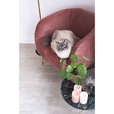 Panele Winylowe LVT Lugano Amaro LUG-497 Klasa 33 4 mm