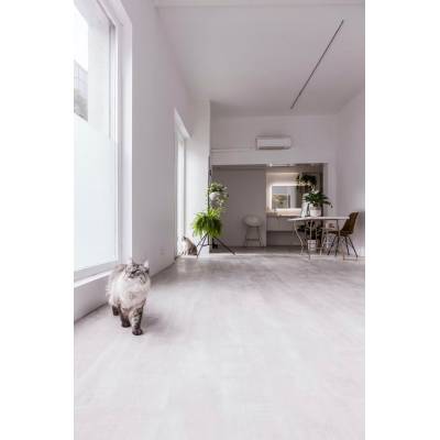 Panele Winylowe LVT Lugano Amaro LUG-497 Klasa 33 4 mm