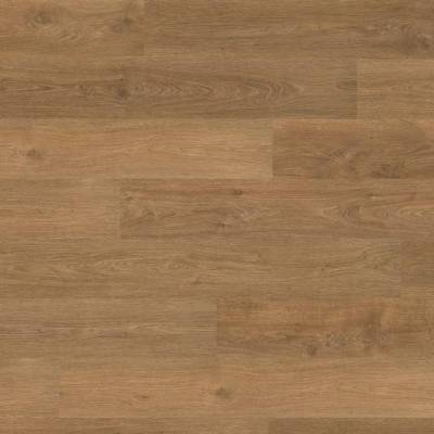 Panele Podłogowe Dąb Punata EPL131 AC5 8 mm