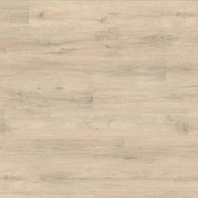 Panele Podłogowe Dąb Chalky  EPL038 AC4 8 mm