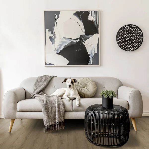 Panele winylowe Lumber Fauve Naturalny 3.4 mm, 36681096 - 2
