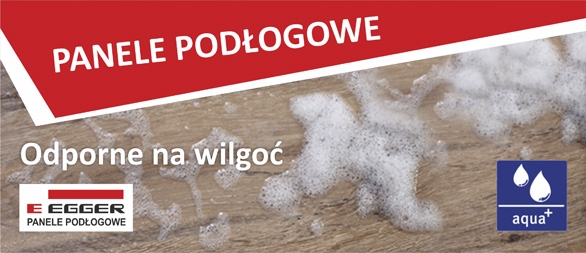 Promocja -36%